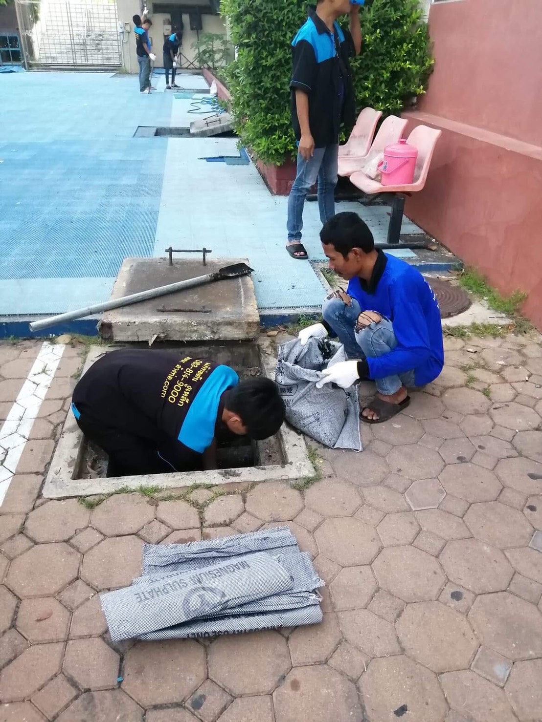 ผลงานของเรา s 11239484